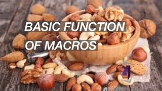 Understanding Carbs, Proteins and Fats