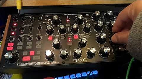 Moog Subharmonicon Song No.2 with 4 chord progressions (One-shot recording) by Saya 