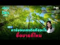 คาร์บอนเครดิตคืออะไร ซื้อขายที่ไหน | เขียวรักษ์โลก | EP.4