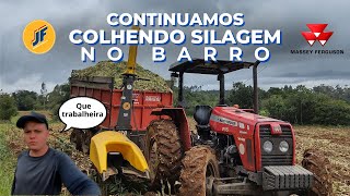 CONTINUAMOS CORTANTO SILAGEM NO BARRO! MF 255 bruto