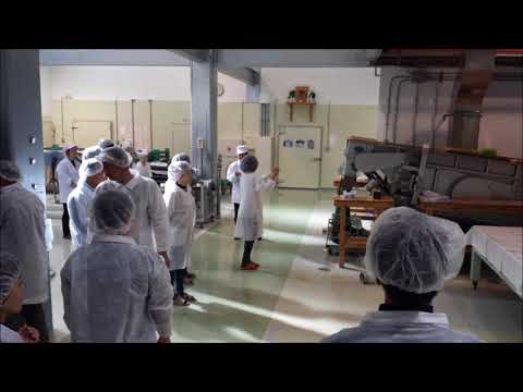 2014年蓬莱泉吟醸工房仕込み体験