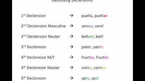 Latin Grammar - Fifth Declension