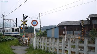 東武小泉線踏切２(その3)