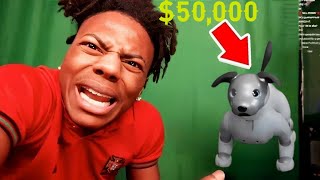 Celebrity iShowSpeed BUYS A $50,000 Robot Dog Wealth