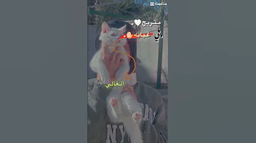 متريح في غيابه 