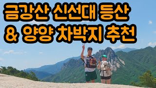 르노마스터 캠핑카 타고 양양 차박치 추천! 강아지들과 같이 갈수있는 등산 코스 신선대 go go!