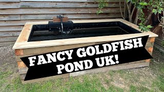 DIY FANCY GOLDFISH pond UK!