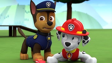 PAW Patrol Marshall