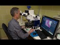 A Day in the Life of an Oyster Sample