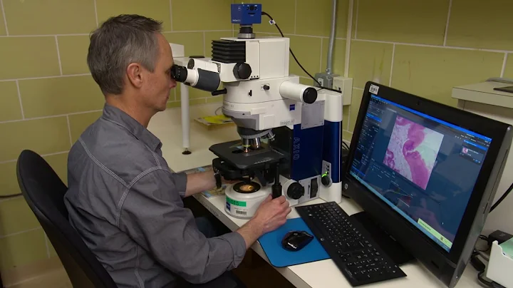 A Day in the Life of an Oyster Sample