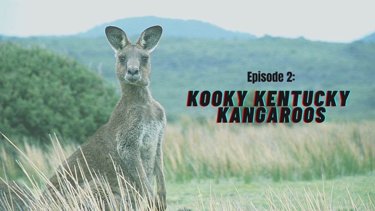 Kinda Cryptid Episode 2 Kooky Kentucky Kangaroos YouTube