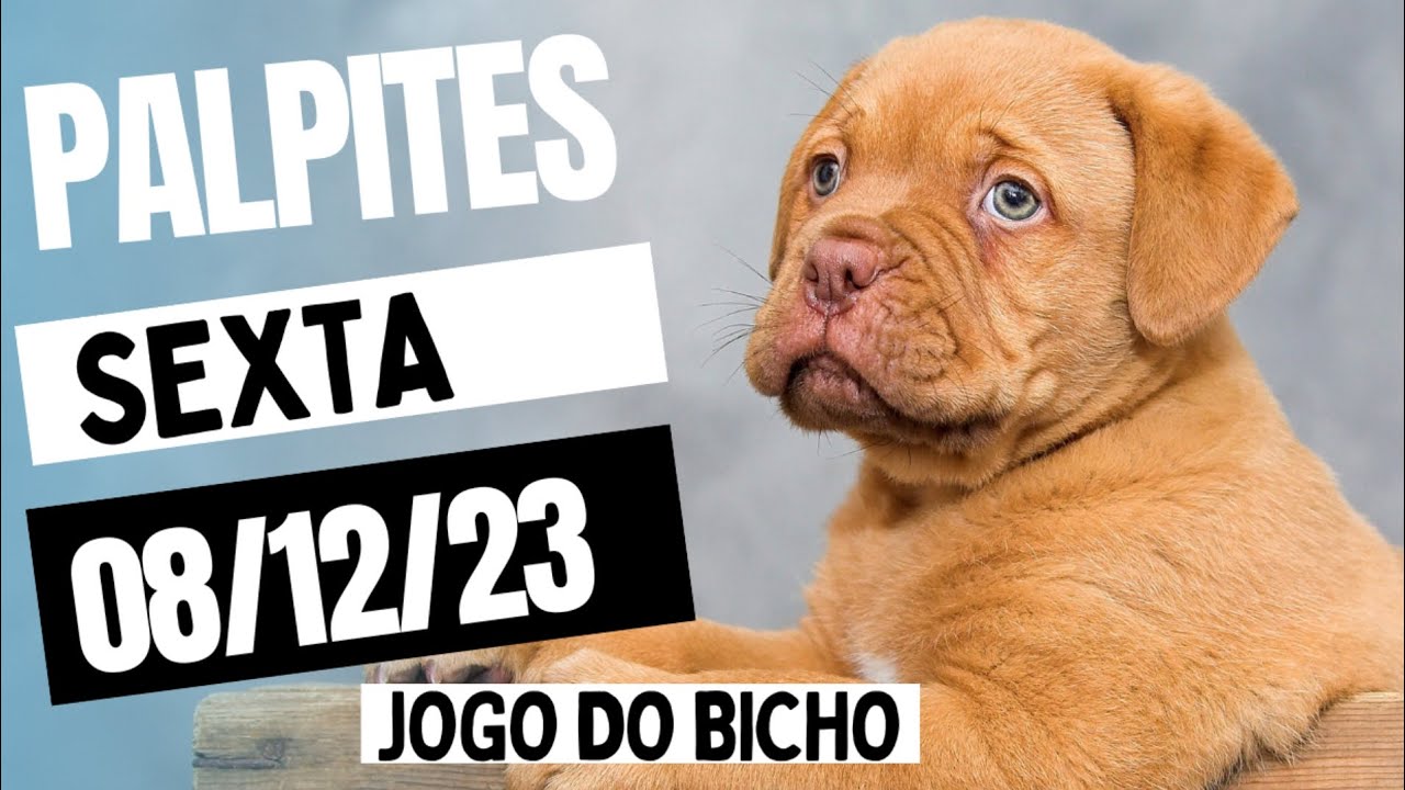 Palpite para o jogo do bicho de hoje 08/12/23 Palpite Aquinox ⭐ Para ...