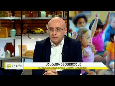 ბაგა ბაღების აღსაზრდელთა სტატისტიკა და სიახლეები (2019)