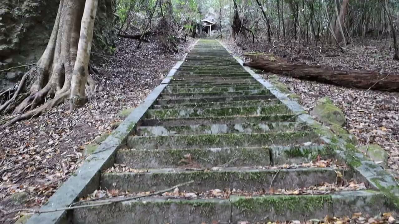 【豊前国】西国観音霊場　７番札所奥之院参道(2026年2月9日)