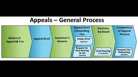 ¡No te rindas! Aprende el proceso de apelación en el sistema legal.