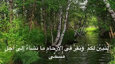 نبيل الصالح / مقتطفات من القرآن الكريم         '