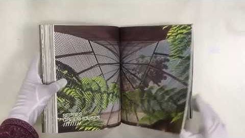 Simón Vélez: Architect Mastering Bamboo