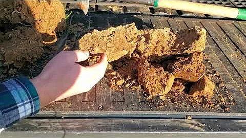 Agronomy Minute Soil Health