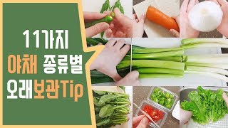 SUB)11가지 야채 보관법, 채소를 오래 보관하는 팁, How To Store Fresh Vegetables [꽁주부tv]