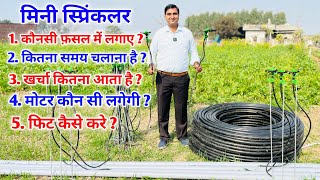 खुद सीखिए, मिनी स्प्रिंकलर को किस फसल में कितने समय चलाना चाहिए ? #minisprinkler #microirrigation