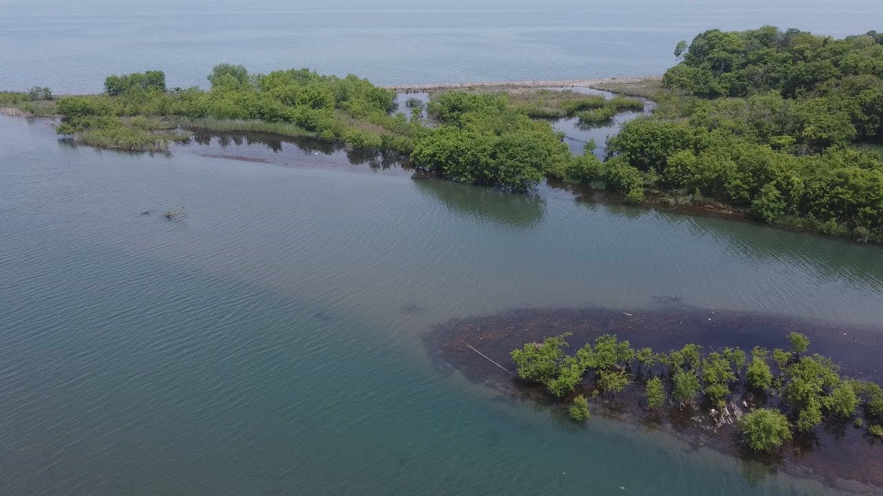 逃がした魚は大きいか？