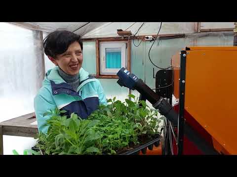 Выдача ОПТ началась, поехали!!! есть СВОБОДКА - на самовывоз)))