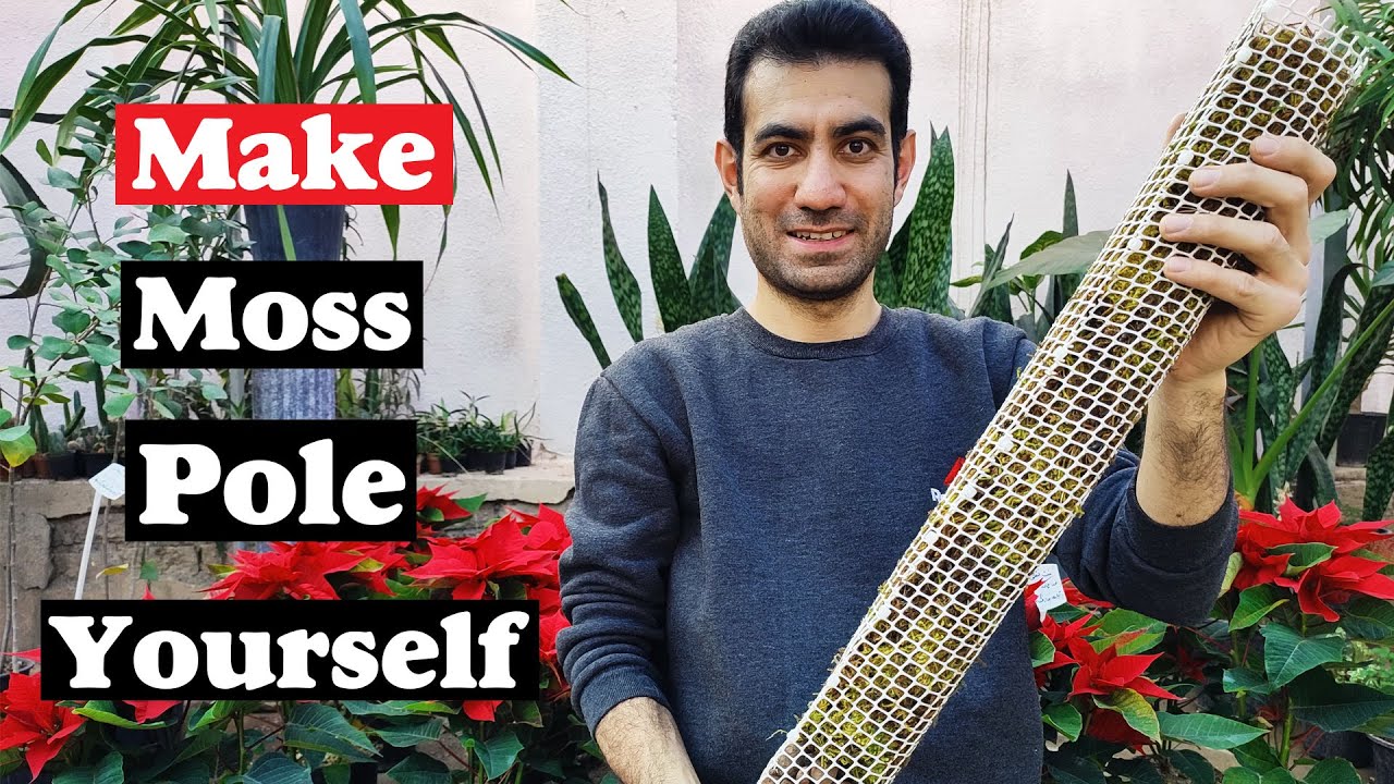 Make moss pole | How to make a moss pole at home? - YouTube