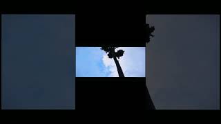 The Sky Speaks in colours 💙🎞️ |#cinematic #ytshorts |@nsbpictures @zarmatics