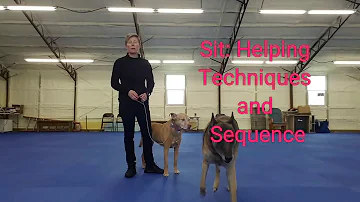 Cosa significa verbale di sit?