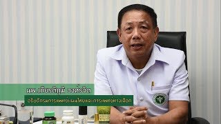 สุขภาพดีกับสมุนไพรไทย ตอน การส่งเสริมการนำสมุนไพรในระบบบริการของภาครัฐ