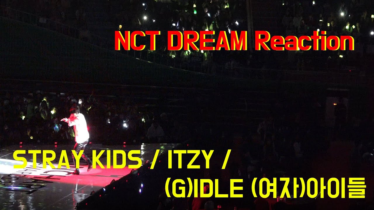 [Idol Reaction][4k] 2020 가온차트 NCT DREAM REACTION  엔시티드림 @잠실실내체육관 by 사나오효오효