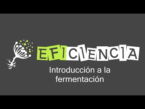 Video: ¿Por fermentación ácida mixta?