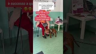 I Piccoli Miracoli Di