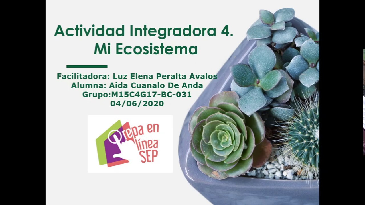 Actividad integradora 4 mi ecosistema modulo 15 - YouTube