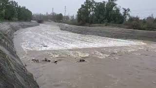 San Diego Creek storm waters in Irvine, CA. by West Coast Gal 204 views 3 months ago 33 seconds