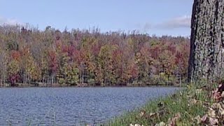 Autumn in Wayne County | Back Down The Pennsylvania Road