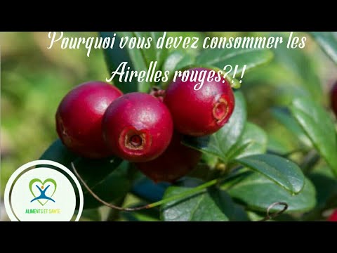 Vidéo: Airelle Rouge: Règles De Consommation Et Recettes Avec Son Utilisation