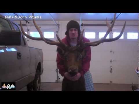 Elk Head Prank