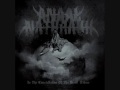Anaal Nathrakh - In the Constellation Of The Black Widow