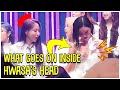 What Goes On Inside Mamamoo Hwasa&#39;s Head