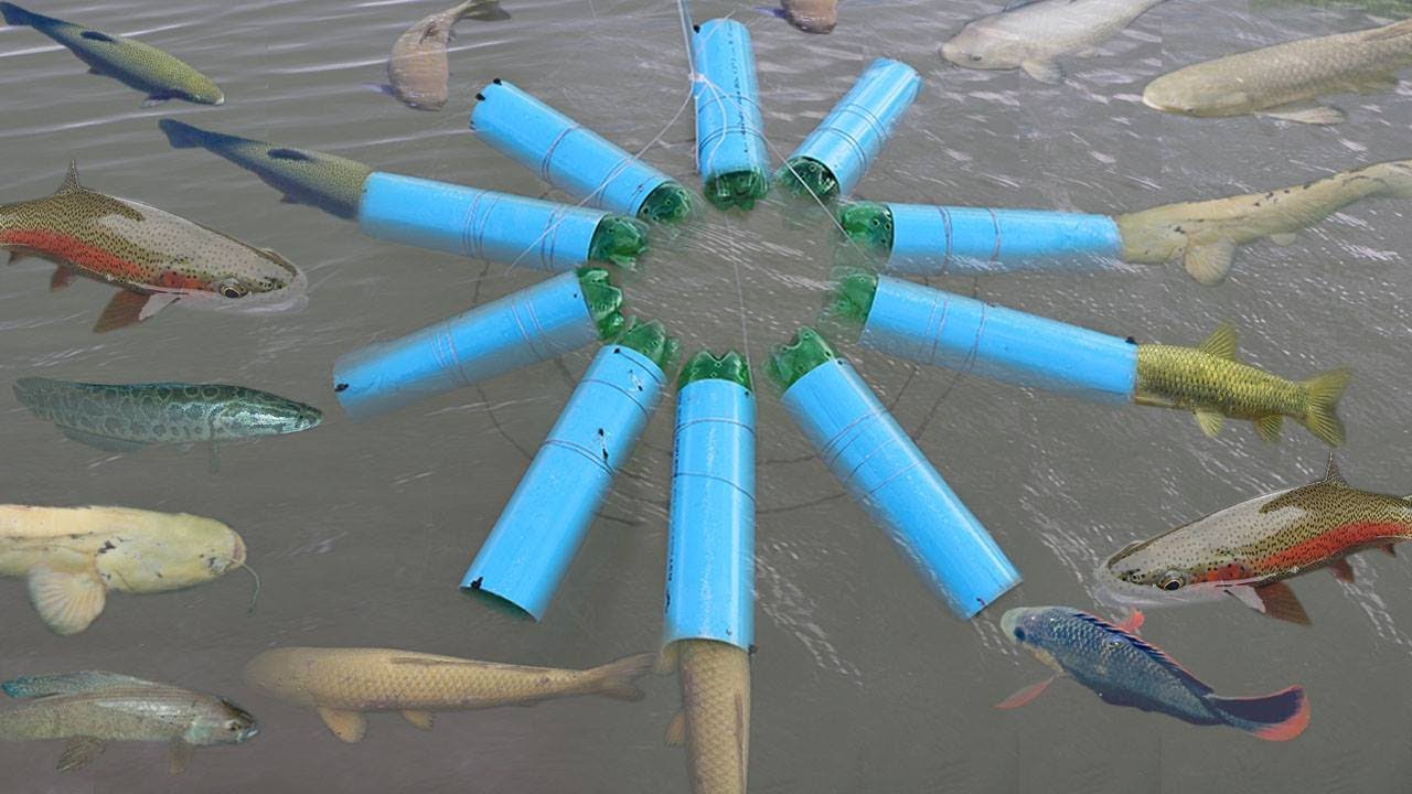 Wow!! Smart Girl Make Fish Trap Using A Lot of PVC Pipe To Catch Fish 