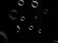 最後の雨 〔中西保志〕