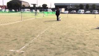 20140309 高知 CD2 称呼