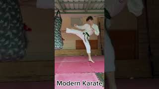 Sport karate vs modern karate vs full contact karate #kick #kickboxing #mma #karate #muaythai