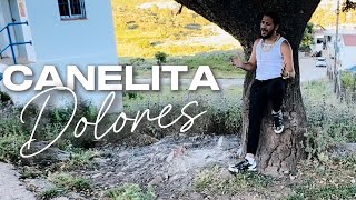 CANELITA - DOLORES (VIDEOCLIP OFICIAL)