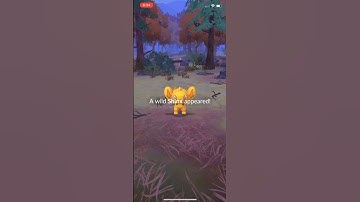 Catching a shiny Shinx!￼