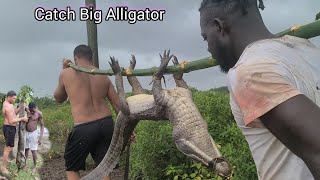look At This Catch Big Alligator Dan We  This We Go True (Beze Hunting)