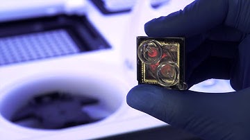 The Ion Chef™ System, Automating your template preparation