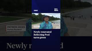 Newly renovated Reflecting Pool turns green