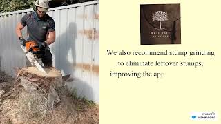 Tree Removal Craigie - Real Tree Solutions